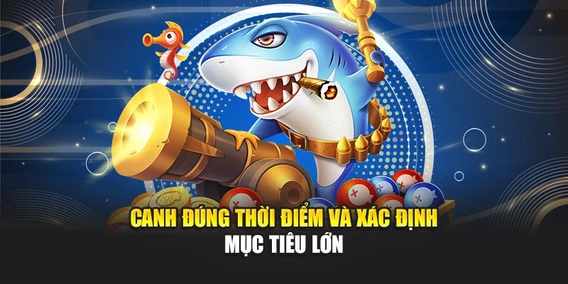 Canh đúng thời điểm và xác định mục tiêu lớn